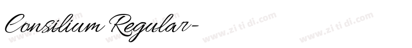 Consilium Regular字体转换 Consilium Regular字体转换